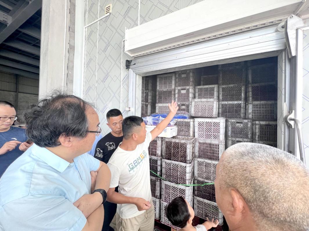 秋天也能吃上杨梅？我省加速推进蔬果贮藏保鲜设施试验项目